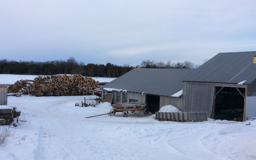 Kim's Custom Amish Sheds serving Grey and Bruce County, ON